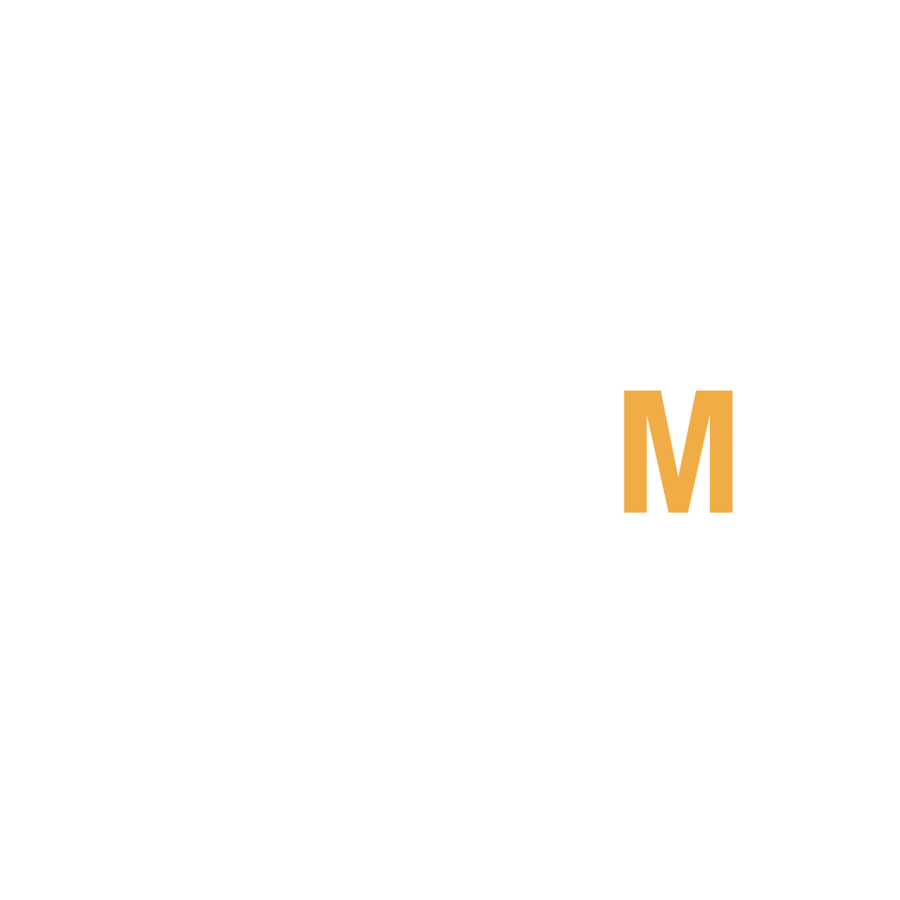 LMB_ost_logo_w_1